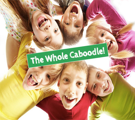 whole-caboodle